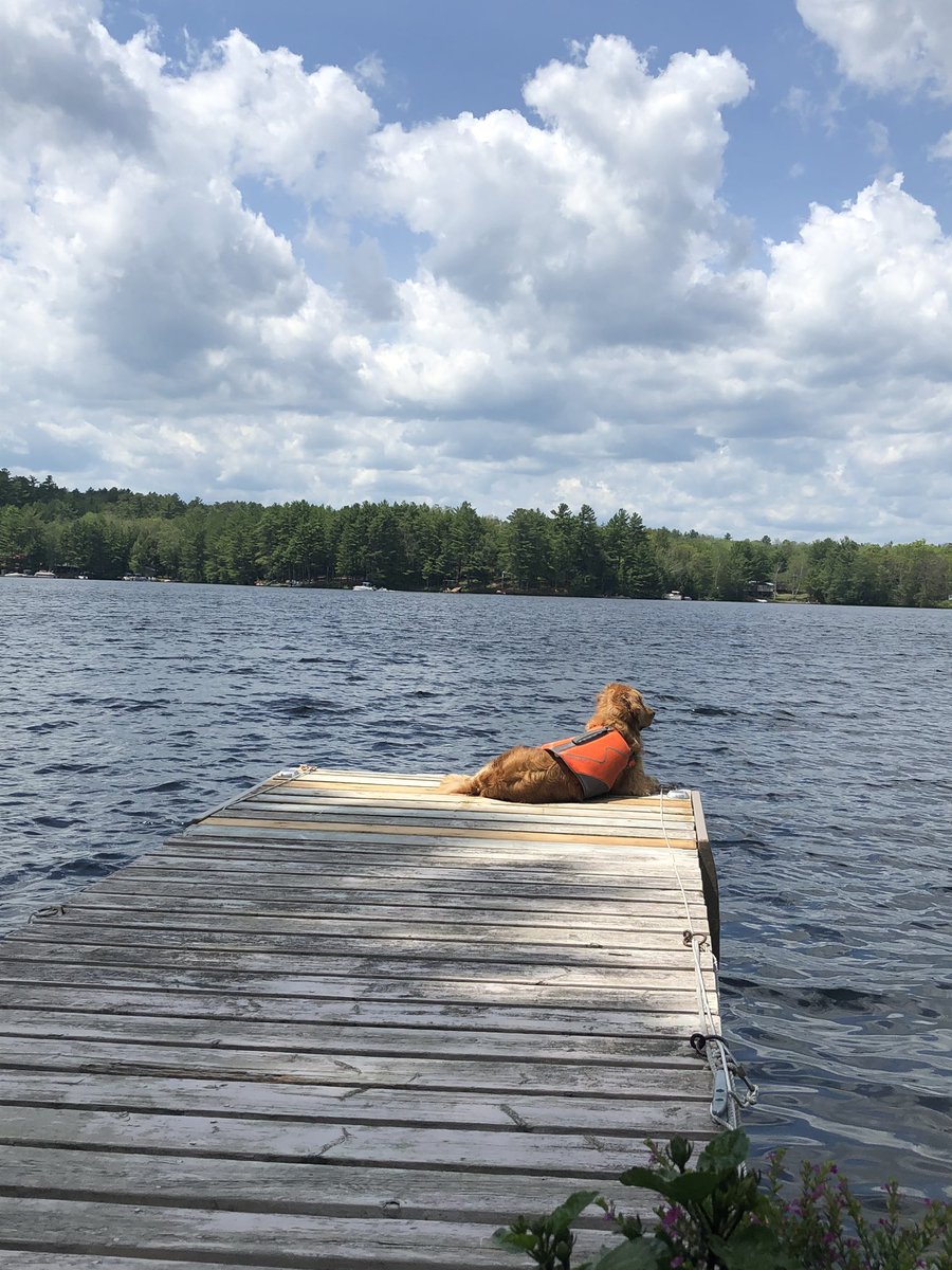 Toddthornton7's tweet photo. Back on duty #mazinawlifeguard #thelifeofferguson https://t.co/0iouIWUTaW