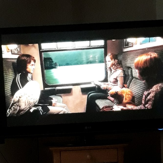 Millikins88's tweet photo. Saturday night spent curled up on the couch watching @HarryPotterFilm and I'm totally ok with it ๐ค
#HarryPotter #gobletoffire #lazynightin https://t.co/zvNT4mQhol