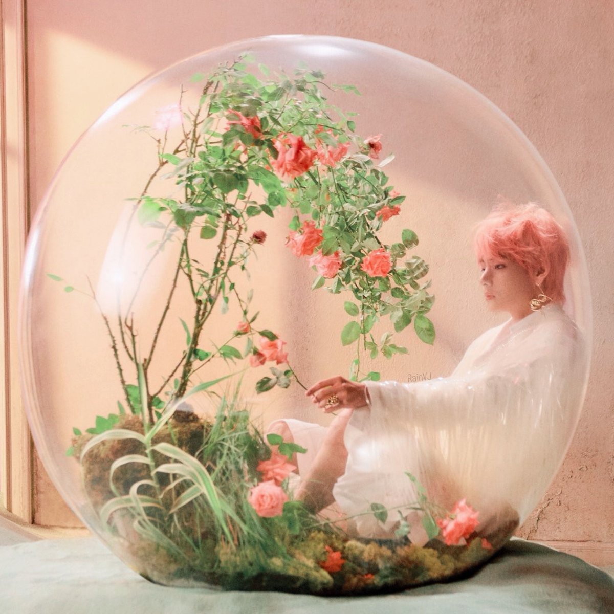 Tae is more beautiful than I can express. As in, ethereal. Transcendent. Divine.