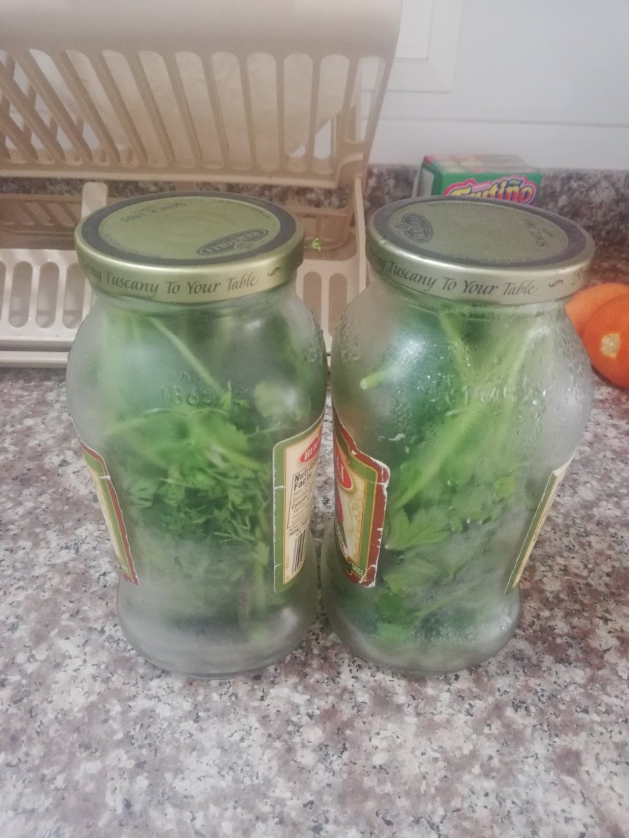 Método infalible de conservación del cilantro y perejil, hasta un mes se pueden tener fresquitos. No se gasta ni un centavo.