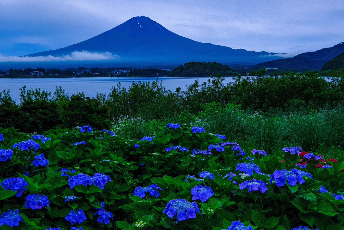 fuji3776m's tweet photo. 河口湖からのラベンダーと富士山です。先日マルミ光機さんから発売された「EXUSサーキュラーP.L MarkⅡ」 を試してみました。従来のC-PLフィルターより色彩コントラストが強調されていますが、自然な色彩であり、これから使うのが楽しみです😊
https://t.co/W8Slm8FTEm
#marmi #EXUS #マルミフィルター https://t.co/4Tudg2tOEE