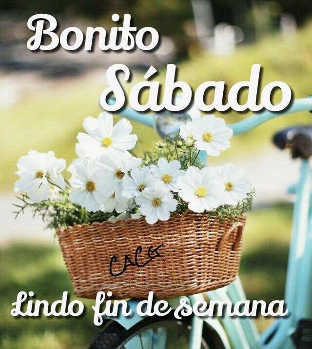 MagaliGiil's tweet photo. https://t.co/sZObVijT1B