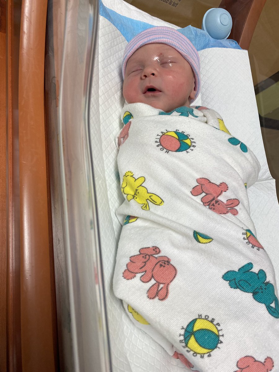 Megan5451's tweet photo. Weston Karter Matthews 💙🌈 https://t.co/zzGgUmhYKv