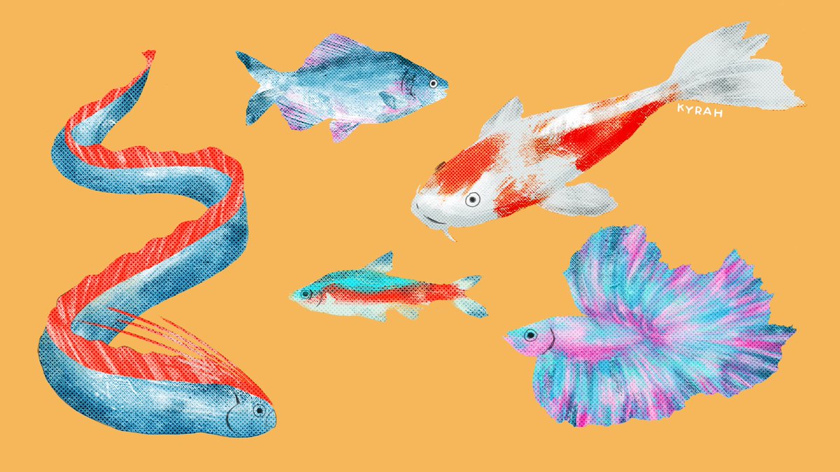 artsykyrah's tweet photo. Here are my favorite ac fishies 🐠💕

#animalcrossingartweek   #あつまれどうぶつの森    #マイデザイン #あつ森 #ACNH  #ACNHDesigns #artph https://t.co/7Lj7NeGqkg