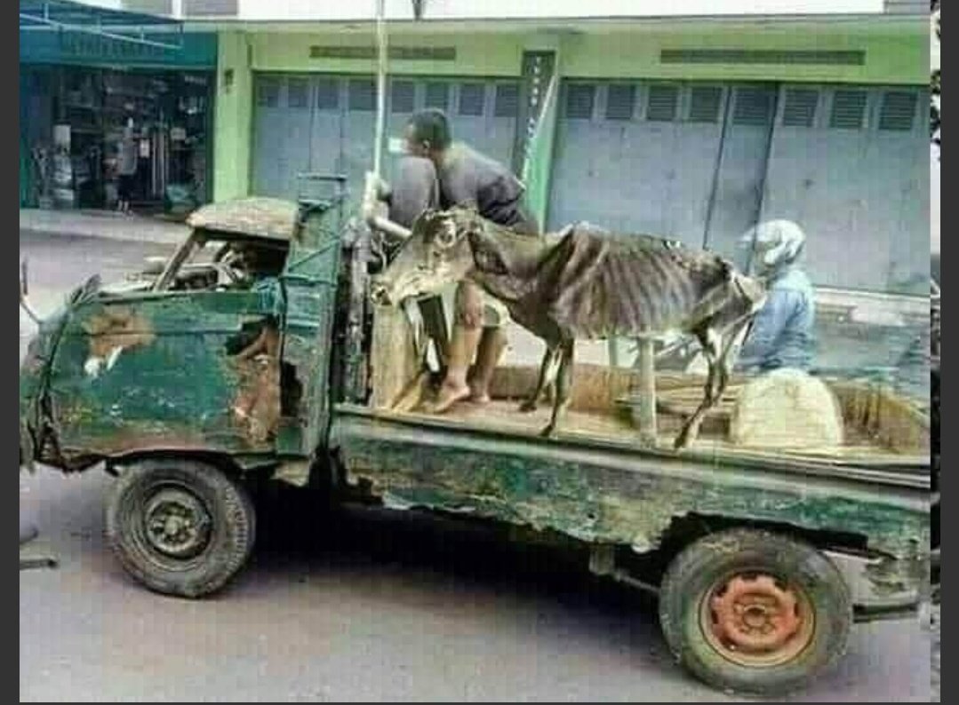 RafiqBaloch55's tweet photo. Economy of Pakistan in 2020🤔 https://t.co/COb1mNzax7