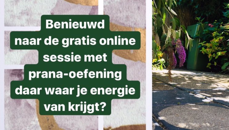 Doe mee met de prana zoom sessie voor ontspanning, energie en lekker slapen. Aanmelden via annelies@pranayourlife.nl.