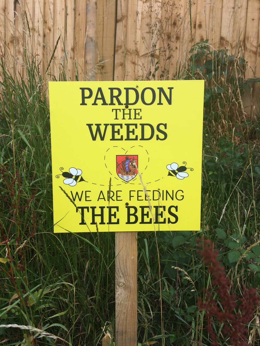 Spotted in ⁦@tenterdenkent⁩ Great idea!! Nice to see the wildlife being given a chance #supportwildlife #savethebees #countryside #rural