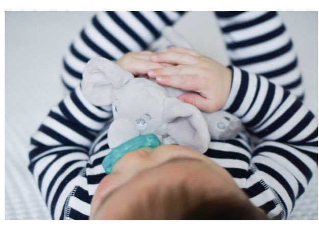 HollyBBaking's tweet photo. #ad Can you even take the cuteness?!This was from a few months ago but this guy still loves his pacifiers! Using a @philipsavent Soothie snuggle is a bedtime routine we both love. See my post here -> https://t.co/WXPweMWHuc
#Switchtosnuggle #Soothiesnuggle https://t.co/I7KeV12fZP
