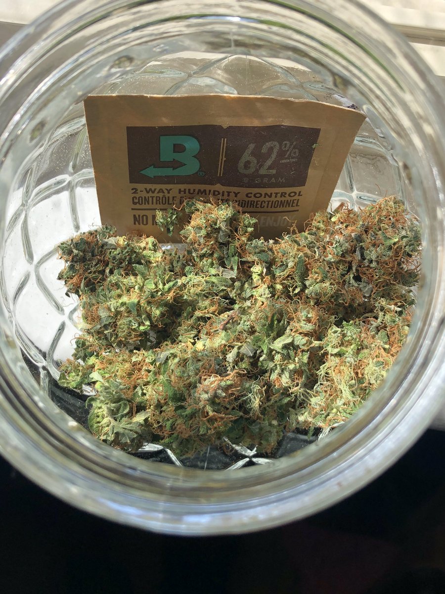 luckylepreshahn's tweet photo. Purple Kush in the jar @FinallyInspired @BovedaCannabis #bovedachallenge https://t.co/P9LddsHNxi
