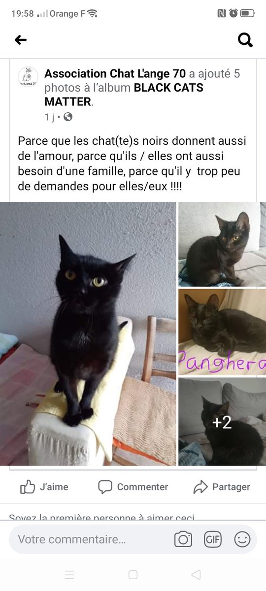 Buzz Rpelard Twitter