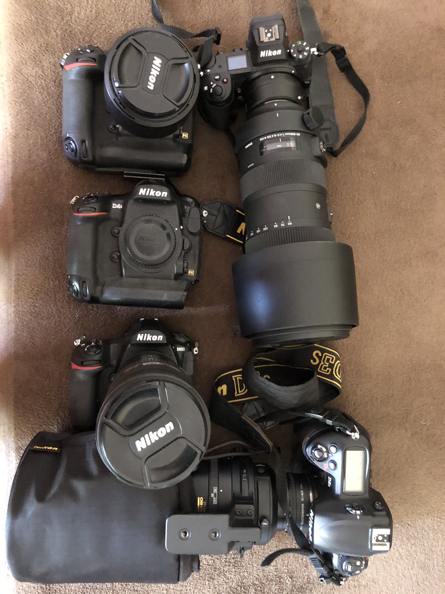 JoeAction_Photo's tweet photo. Heading into the woods for a week. What gear should I take? #nikonZ7 #nikonD5 #nikonD4s #nikonD850 or #nikonD3s ? #photographerproblems #GearHog #nikoncanada https://t.co/zJUh8402I5