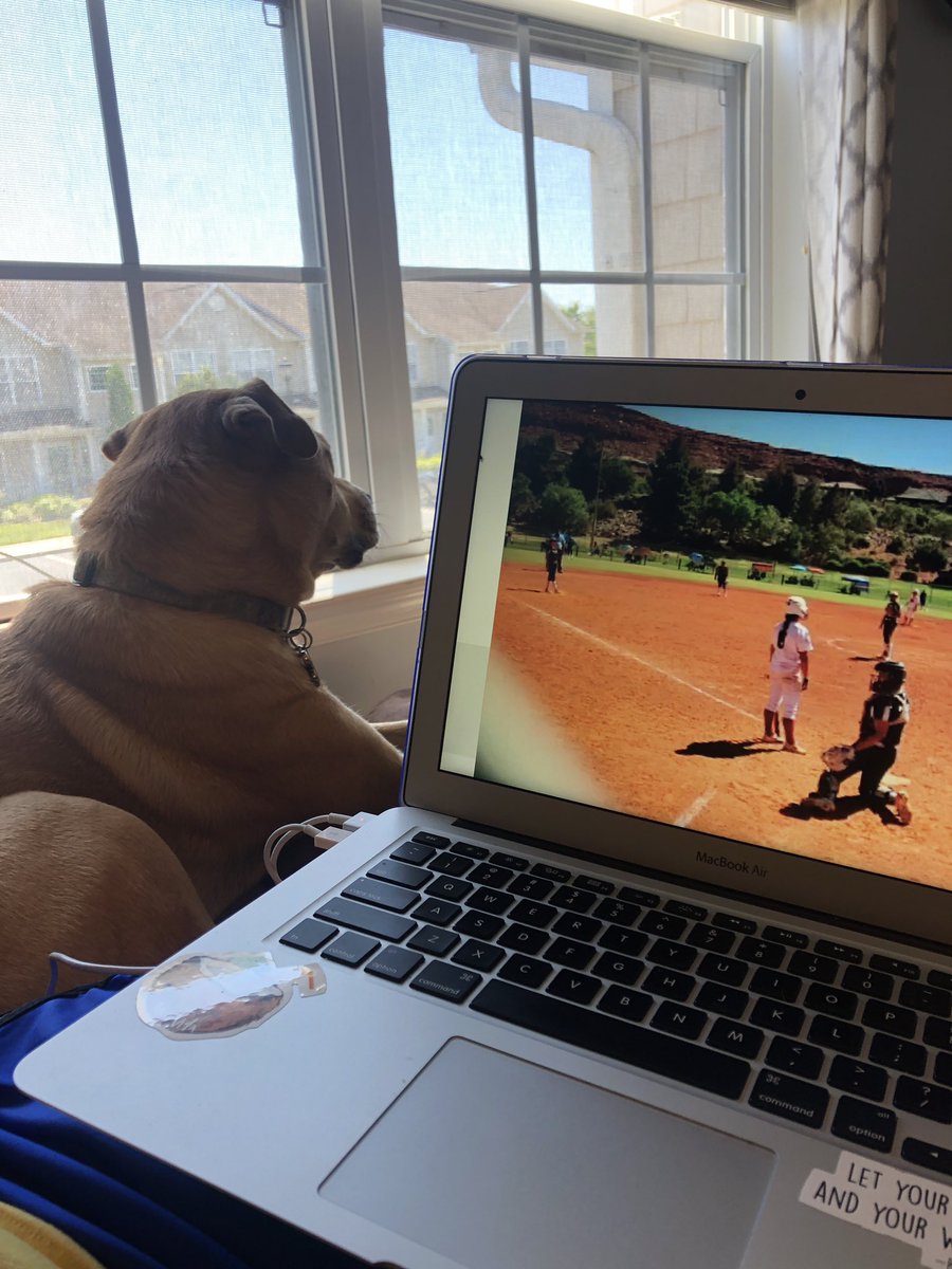 Saint Joseph's Softball Recruiting (@hawk_sighting) on Twitter photo Have a new furry recruiting assistant helping to search for some future Hawks! 🥎Coach Dominik <a href="/Kelsey_Dominik/">Kelsey Dominik</a> <a href="/SJUHawks_SB/">SJU Hawks Softball</a> Have a new furry recruiting assistant helping to search for some future Hawks! 🥎Coach Dominik <a href="/Kelsey_Dominik/">Kelsey Dominik</a> <a href="/SJUHawks_SB/">SJU Hawks Softball</a>