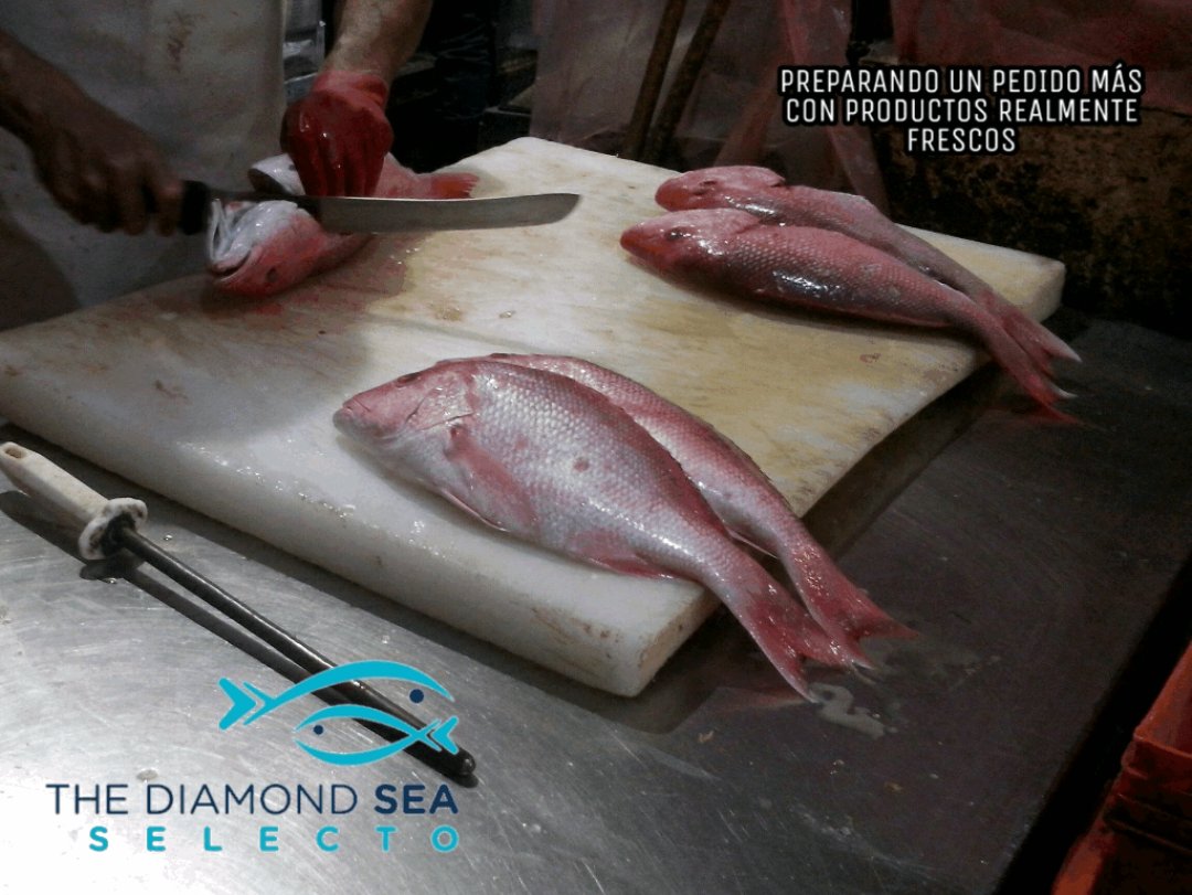 seathediamondo's tweet photo. @En_laDelValle
Para poder ofrecer PRODUCTOS NUEVOS @seathediamondo asistirá a una reunión en Veracruz los días 24,25,26 y 27 por lo tanto NO habrá entregas.
ANTICIPE SUS COMPRAS
#ProductosNuevos
#ParaUnMejorServicio https://t.co/SE06kDvL5t