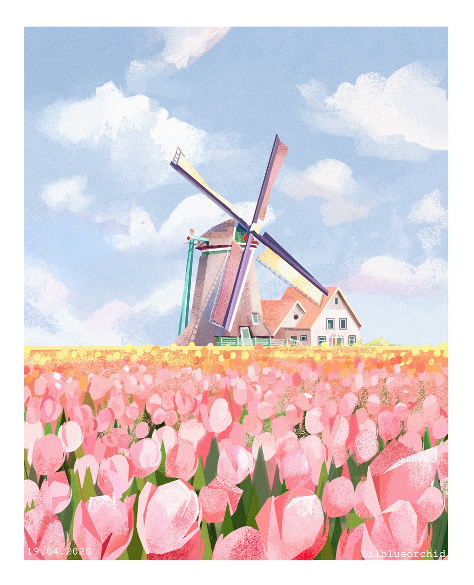 Lilblueorchid's tweet photo. In a pink mood today! I'd love to visit the netherlands one day. 🌷🌷🌷 https://t.co/K5WRm4UF7D