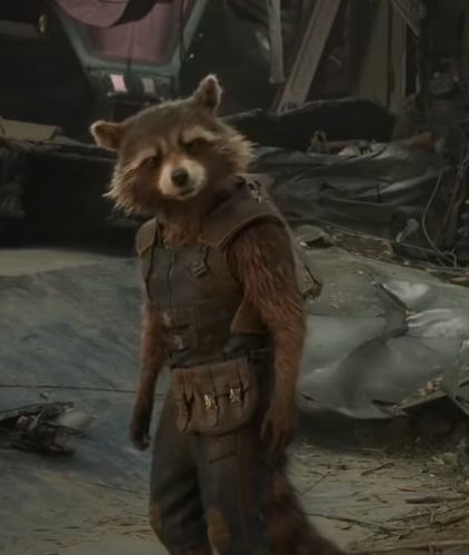 #RocketRaccoon