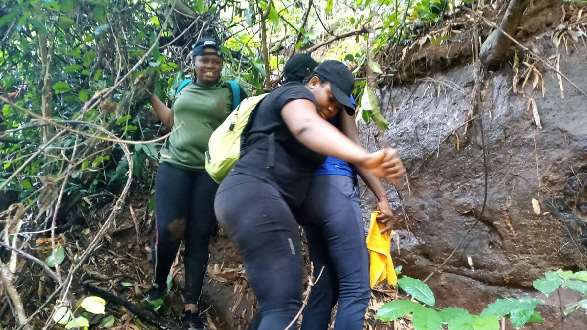 oyibo_ugbo's tweet photo. Making our way down the OgbaNgwu Valley.
#ChasingWaterfall #naturelover #funday #tourism https://t.co/zwnNkt5mQD