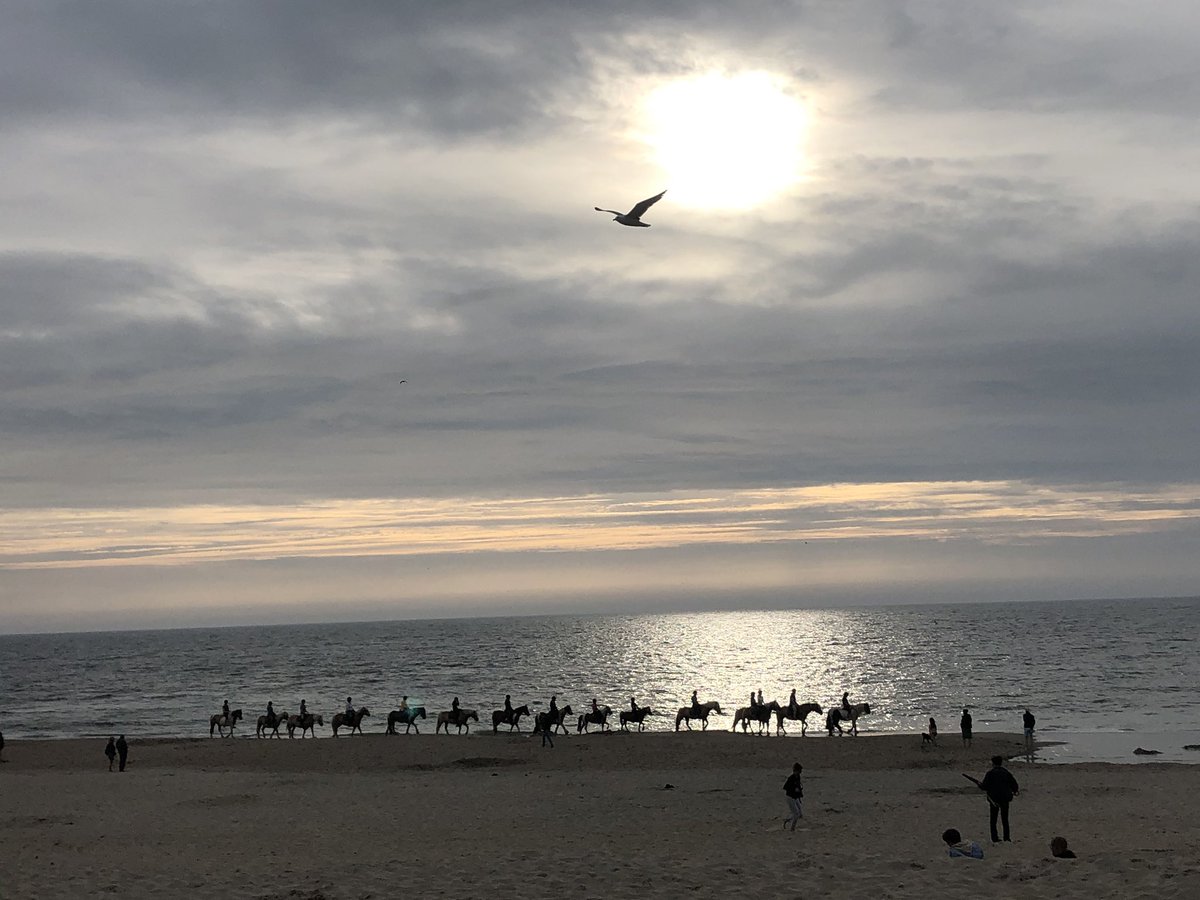 arodilla's tweet photo. Atardecer en Texel, NL. Paal 17 https://t.co/lpQqPDCBp6