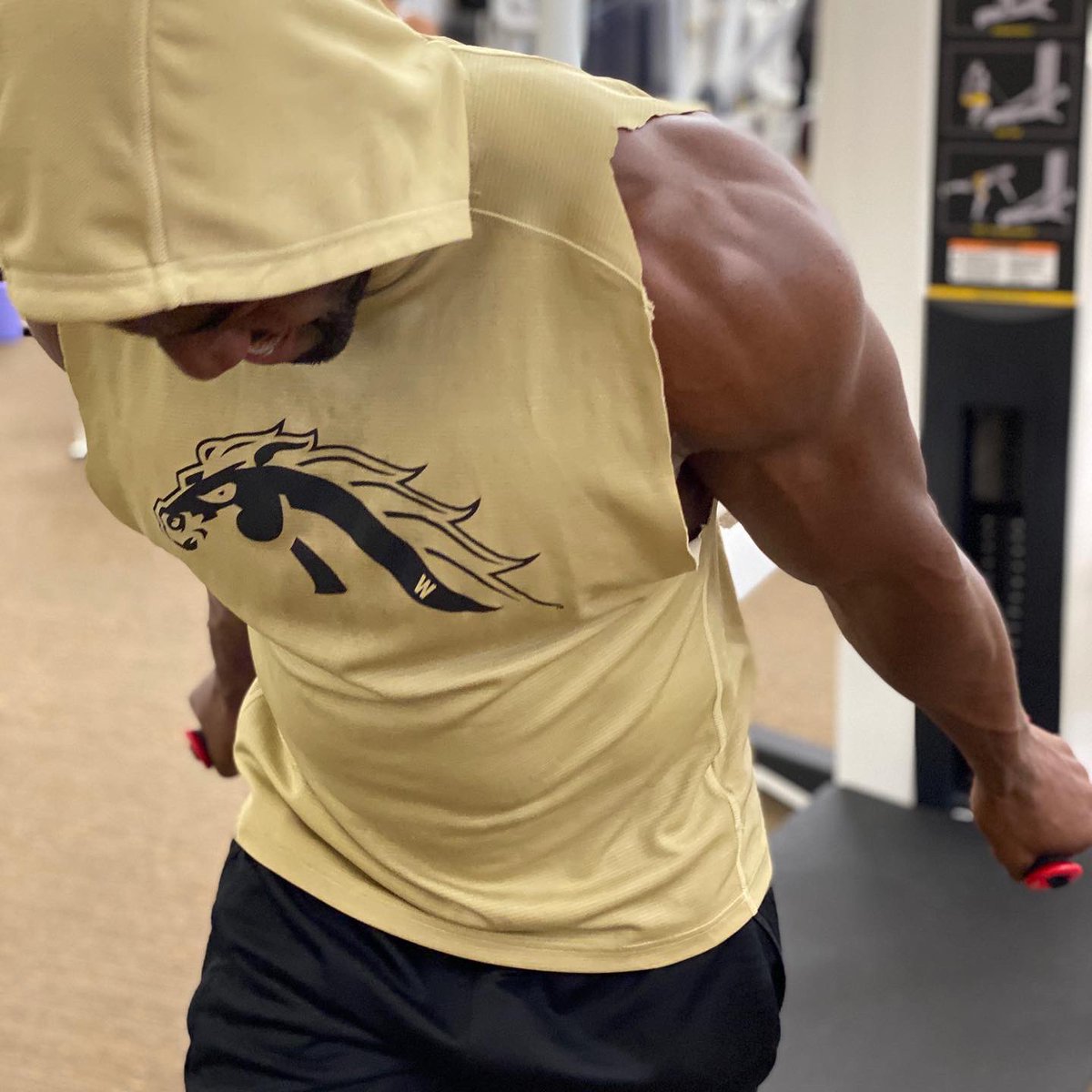 GregJennings's tweet photo. Sometimes you have to keep your head down and just work.😤
/
/
How deep you willing to dig for your success?
#mygrind #buildingmybody #gjgetjacked #allin https://t.co/FdYWqz1pGW