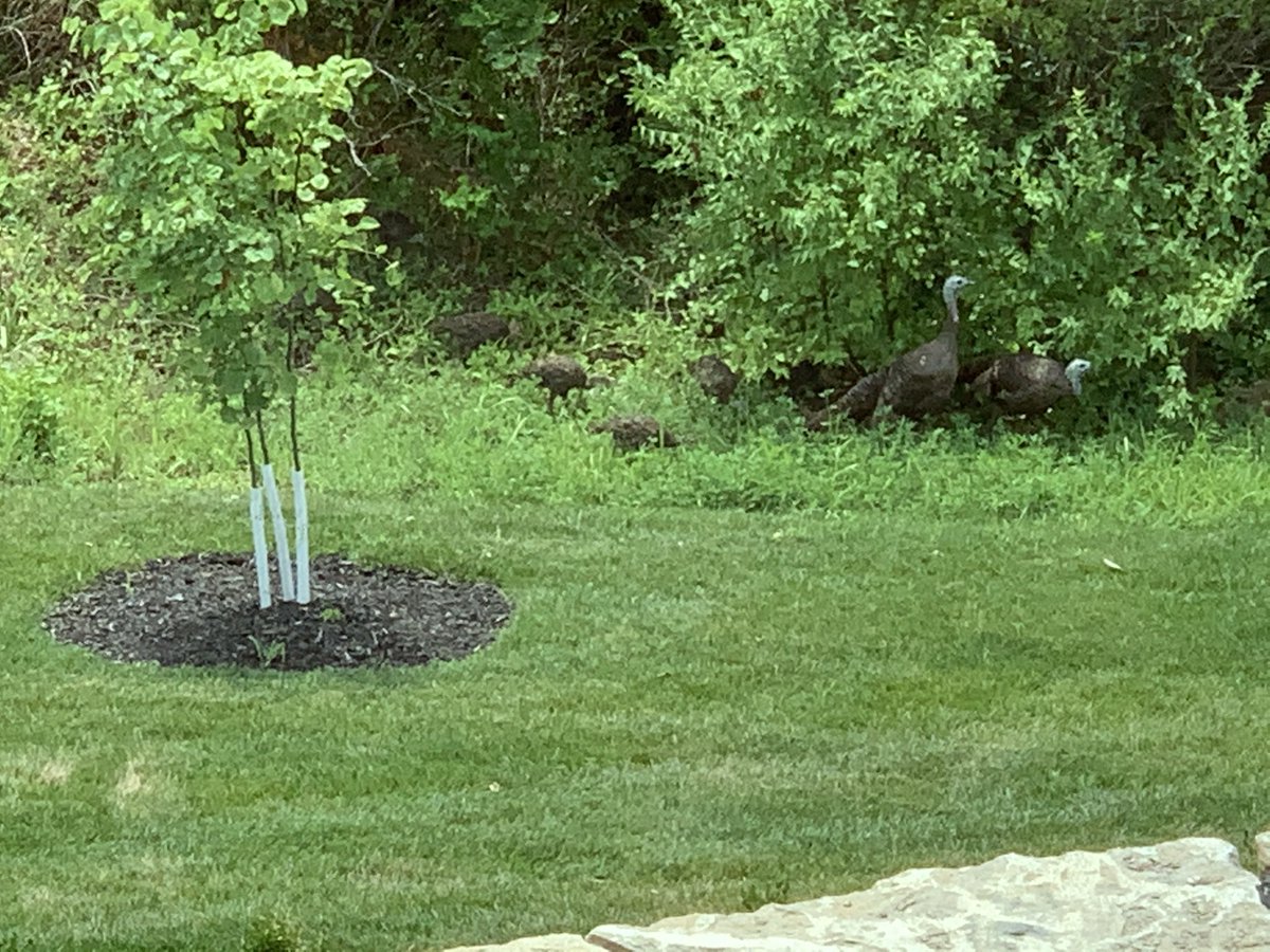bill795's tweet photo. They grow up so fast and much wiser. Taken 34 days a part. https://t.co/Re0fGwgSXW
