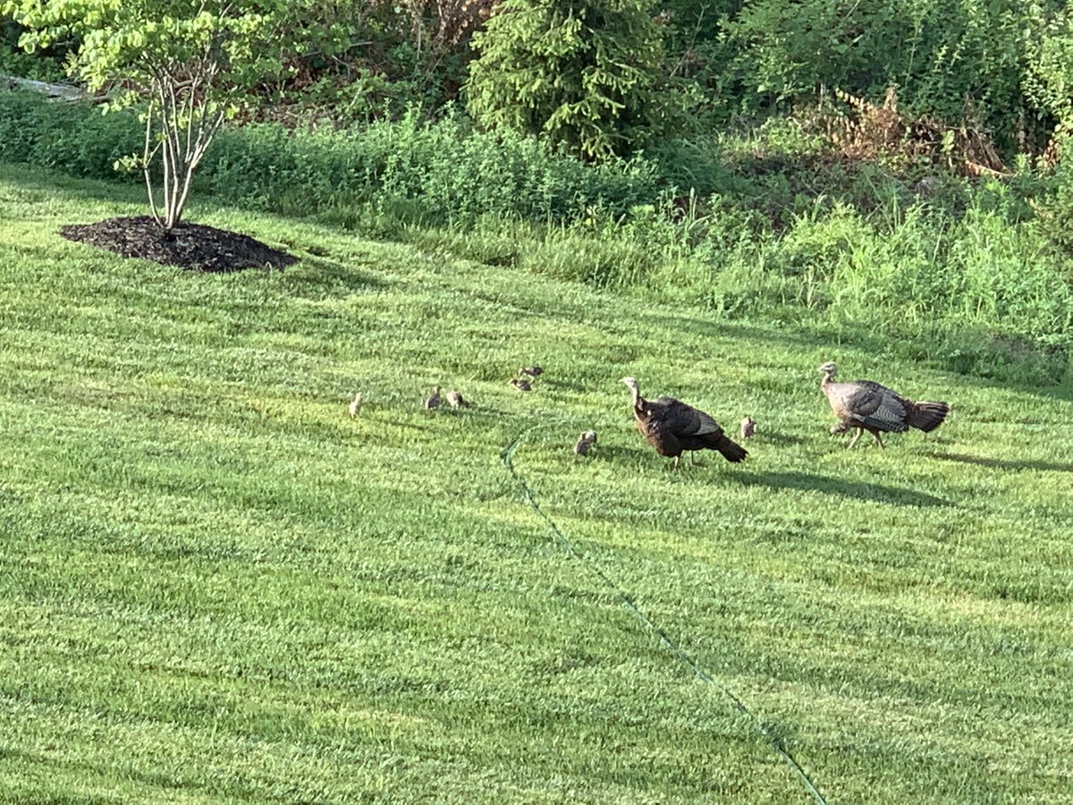 bill795's tweet photo. They grow up so fast and much wiser. Taken 34 days a part. https://t.co/Re0fGwgSXW