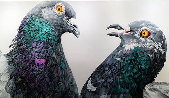 JennepenJ's tweet photo. Beautiful Art 🎨 
- Two Pigeons - 
#beautiful #art #by #visual #artist #adelerenault #spotted #berlin #germany #streetart #wallart #mural #graffiti #muralart #pigeons #birds 🐦 #foreverart #artlover #streetartberlin #artforever #streetarteverywhere 🎨 https://t.co/cQZk6YpKJT