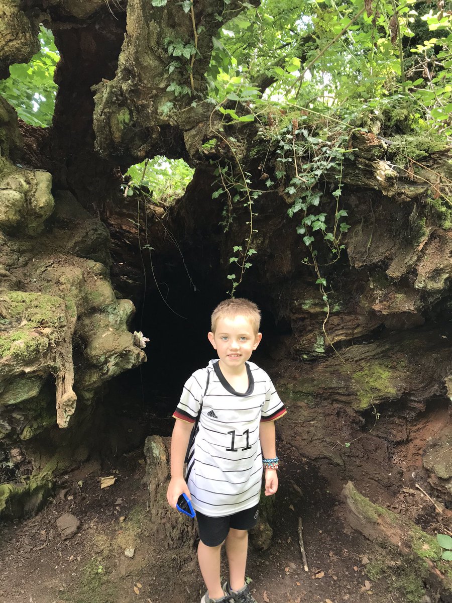 howison_helen's tweet photo. @PPSMrNocivelli Thank you for being truly wondeful with Zach in his short Yr 2! he’s got the confidence for year 3 now because of you! Although he wishes you’d move up with him!! He wanted to show you this hollow tree trunk we found today cos you’re his buddy !! @StuartHowison https://t.co/ALMGvOKO9z