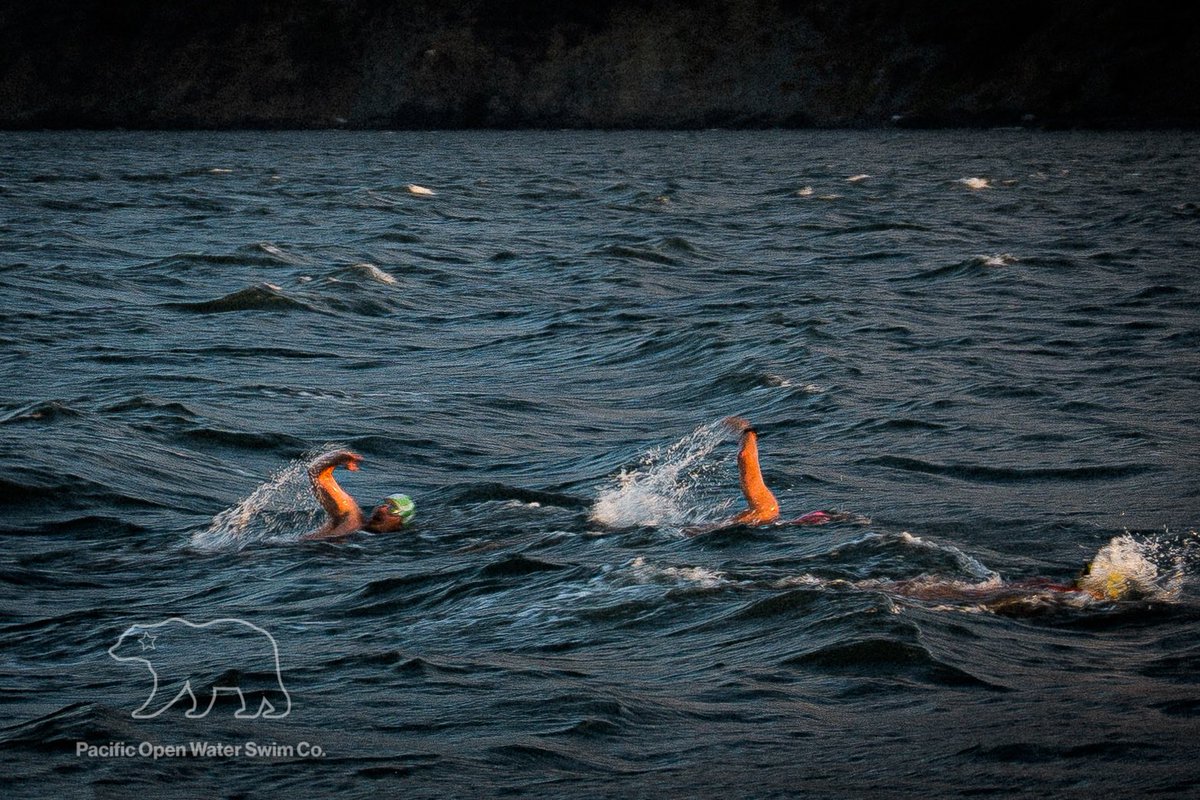 PacificSwimCo's tweet photo. Angel Island circumnavigation, San Francisco Bay #openwaterswimming #coldwaterswimming #wildswimming #englishchannel #swimsf #swimming #swim https://t.co/wnHVDoc0sa