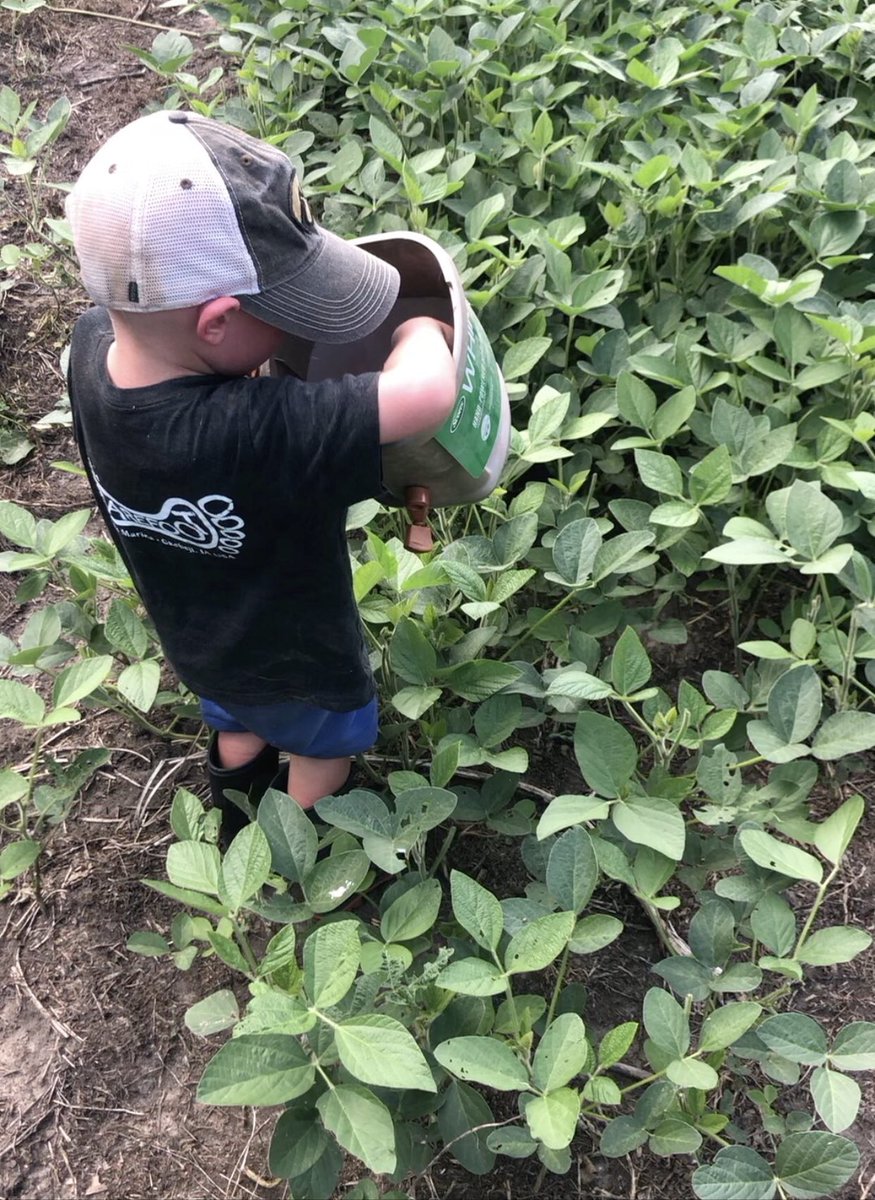 bscherff68's tweet photo. Had a pretty good helper with me today broadcasting seed blends from  @DomainOutdoor for our late season food sources! https://t.co/eFtJH25Mte