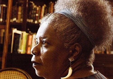 14 Days Until  #WITMonth: Conceição Evaristo is an acclaimed Brazilian writer. Her 2003 novel Ponciá Vicêncio was translated into English by Paloma Martinez-Cruz and published by  @hostpublication.