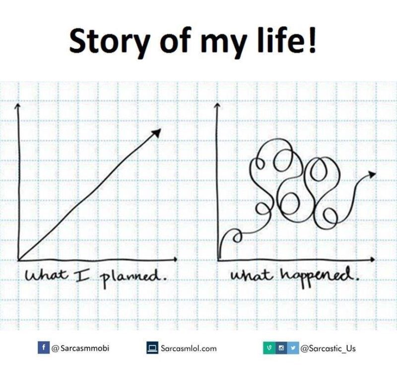 (((Jon Benjamin)))🇬🇧🏴󠁧󠁢󠁥󠁮󠁧󠁿🇨🇱✡️ ⚒🇬🇭 tweet media