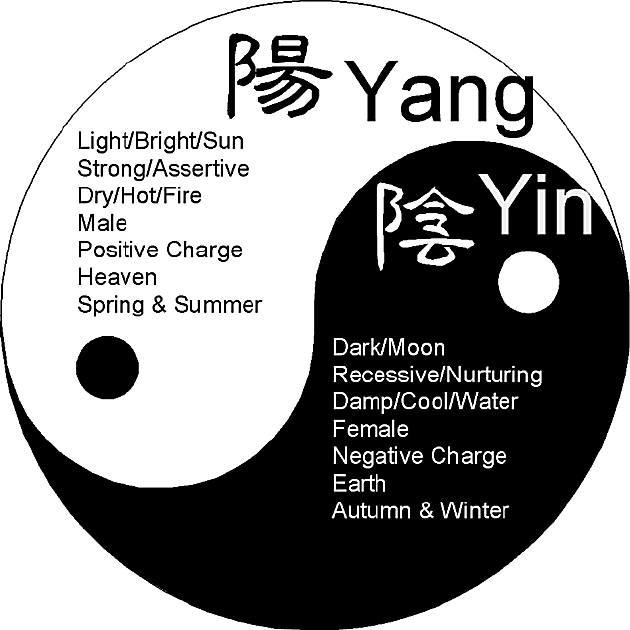 hinata shoyou (日向 翔陽)陽 connotes "yang" or the positive, sun/daykageyama tobio (影山 飛雄)影 (pronounced "kage") is interchangeable with 陰 (also pronounced "kage", which connotes yin or the negative, shadow/dark