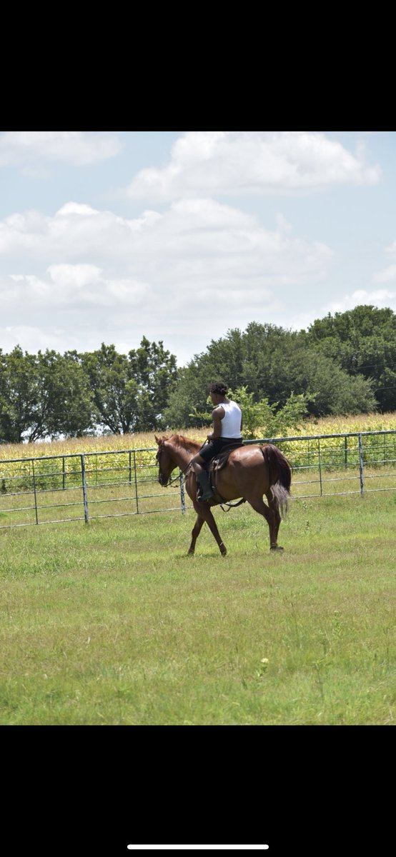 Wrecked a Ferrari bought a horse 😏🤝 #CountryShit