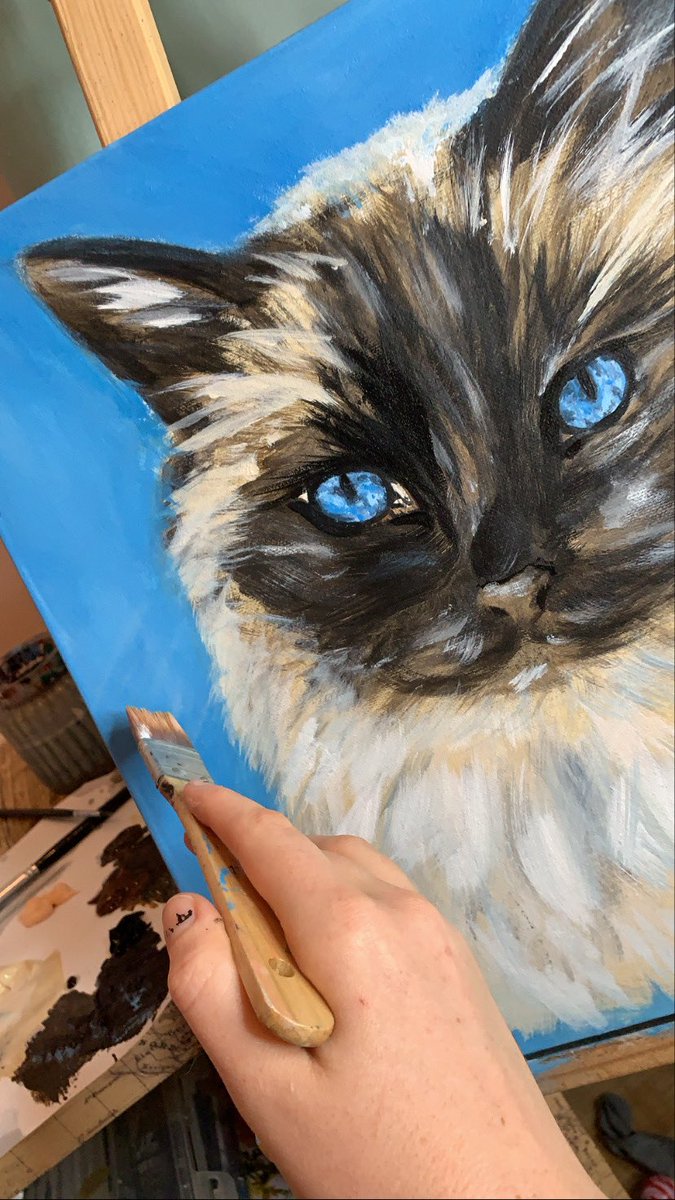 Taking a different approach with my pet portraits
#artist #artistatwork #workinprogress #petportrait #commission #ragdoll #ragdollcat #cat #cutecat #fluffycat #catsofinstagram #artistsoftiktok