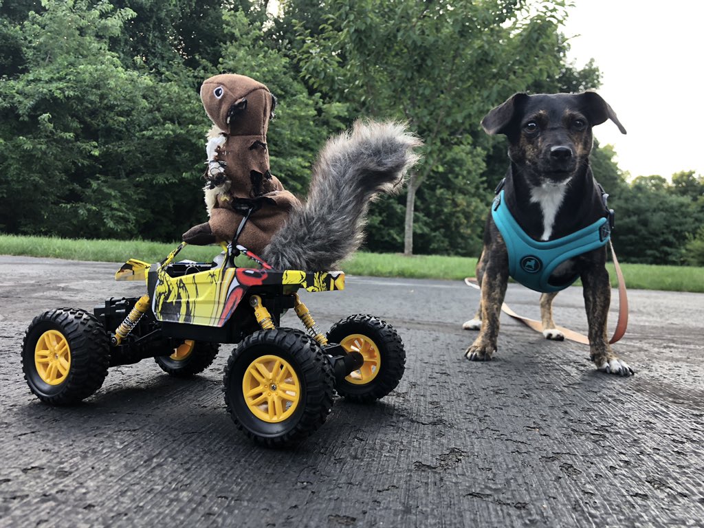 Tini245's tweet photo. Ready to go.... #squirrelmobile https://t.co/tPx0GnxLPj