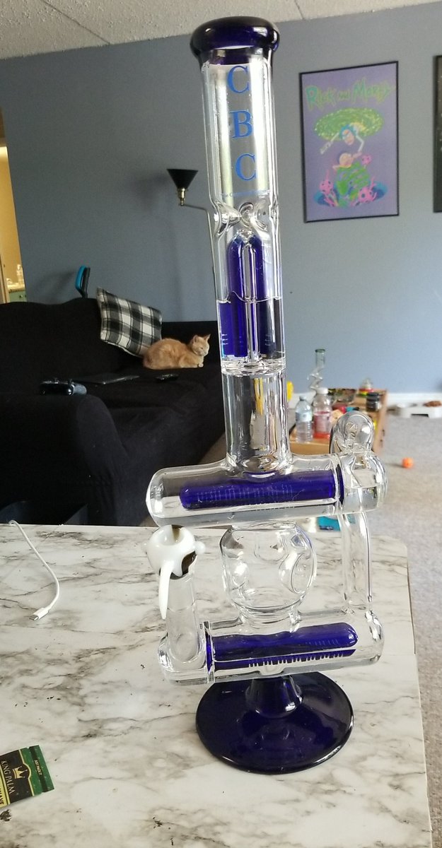 EskimoTrippy's tweet photo. Blue looking nice and fresh to smoke and watch @ErickKhan_ and @dope_as_yola_ 😏💨 

#cleanbong #beauty #favoriteyoutubers https://t.co/iAjon00ZK3