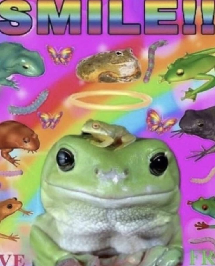 fuck it frog thread !!