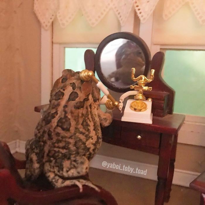 fuck it frog thread !!