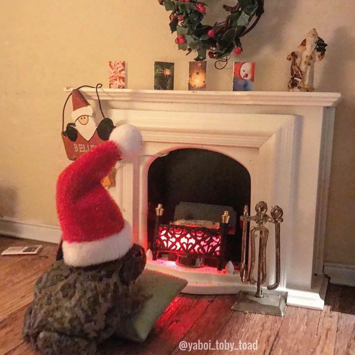 fuck it frog thread !!