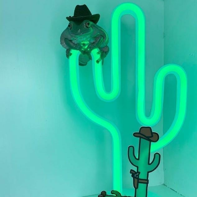 fuck it frog thread !!