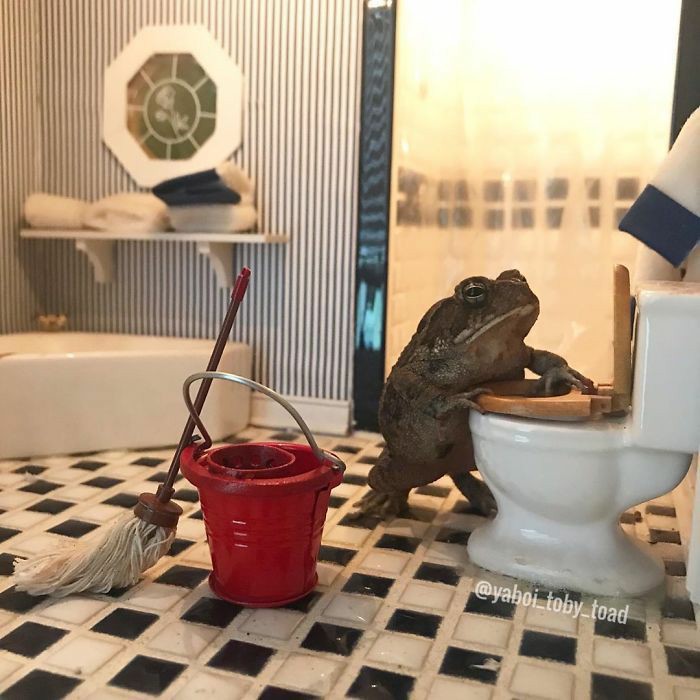 fuck it frog thread !!