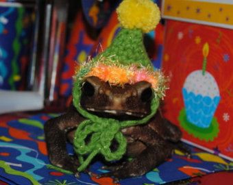 fuck it frog thread !!