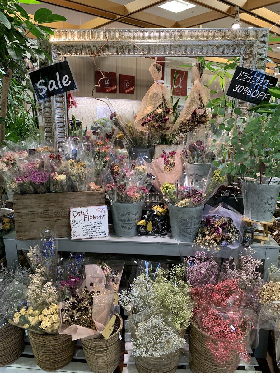 アルファフローリスト 彦根 ただいまドライフラワーが30 Off 7月末までお買い得です インテリアのアクセントにオススメです 彦根 ビバシティ ビバシティ彦根 ビバ 花屋 T Co Z5isha26jj Twitter