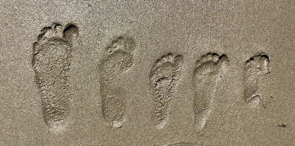 Dr. Frank Costanzo tweet media