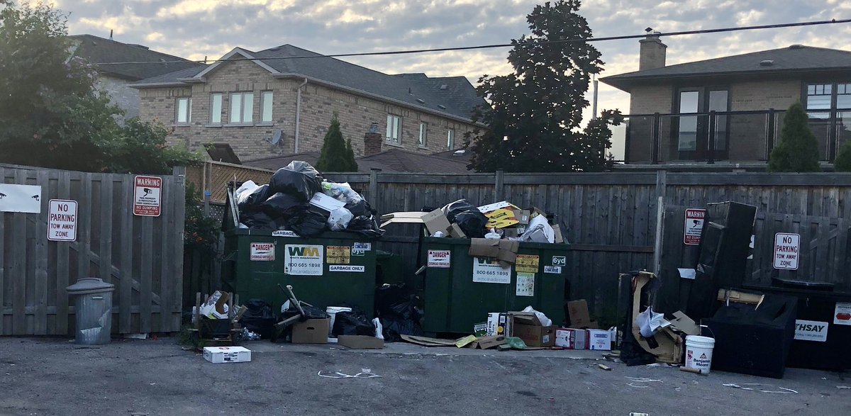 MarleeAveTO tweet media