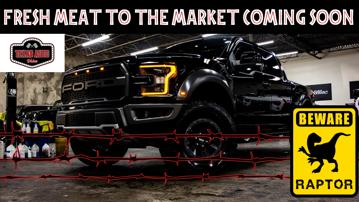 TexasAutoValue's tweet photo. Beware the RAPTOR this upcoming Tuesday at #metroautoauction! #texasautovalue has 250+ fresh meat units coming to the market for you to check out! https://t.co/jUI1nusJrZ