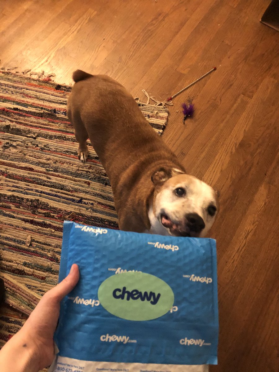 mermwilson's tweet photo. So @Chewy is the best company ever??? https://t.co/bXPQnpft46