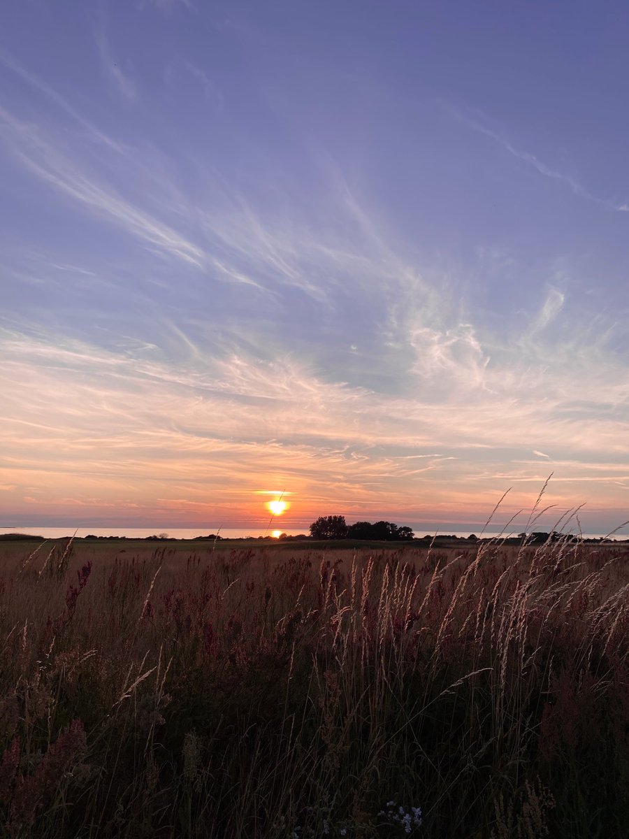 Natti, gillar läget med ”hemester”