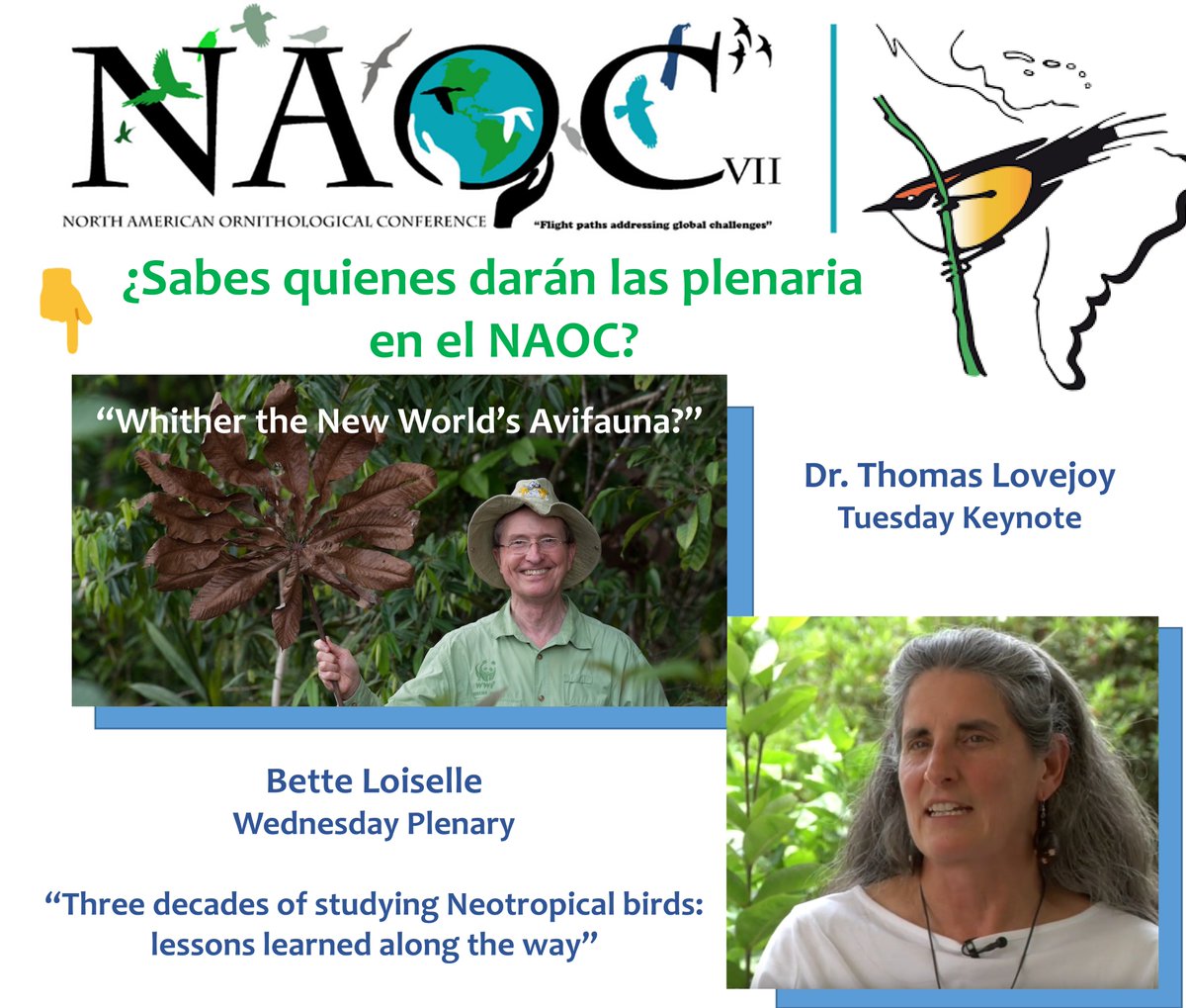 OrnitologiaNeot's tweet photo. ¡Vayan agendando! Acá la información de todas las plenarias de la @NAOCbirds #NAOC2020. https://t.co/wfZyoKt37M