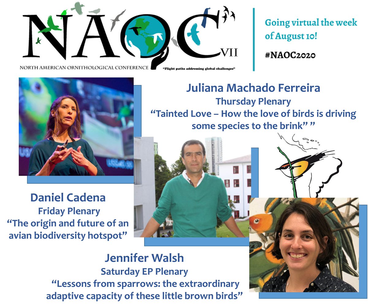 OrnitologiaNeot's tweet photo. ¡Vayan agendando! Acá la información de todas las plenarias de la @NAOCbirds #NAOC2020. https://t.co/wfZyoKt37M
