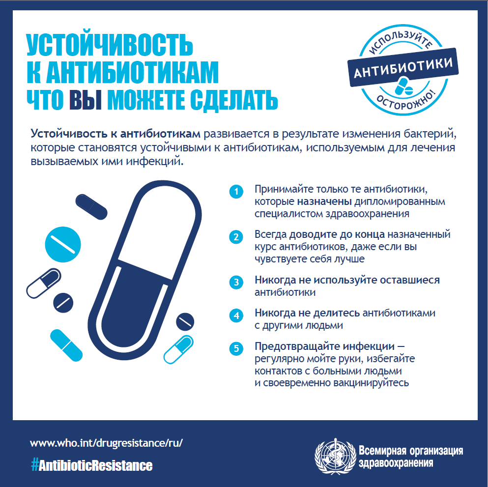 UnitedNationsRU tweet picture
